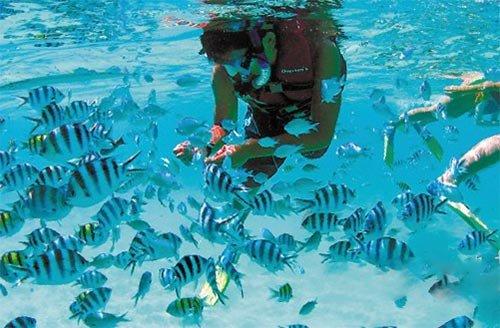 广西民族医院伤口造口护理小组顺利举办学术沙龙活动