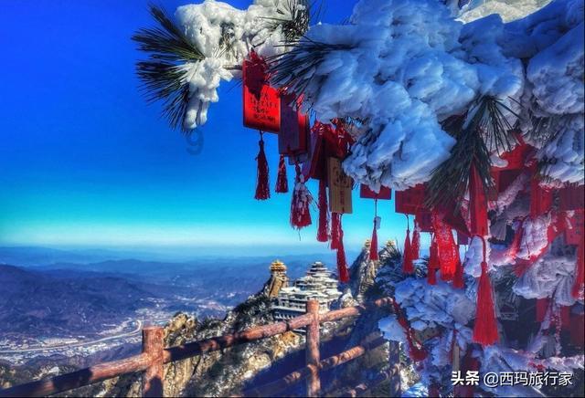艾玛的时尚装